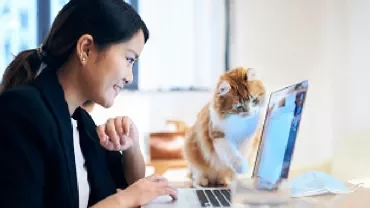 Woman working on laptop while a cat playfully paws at the screen.