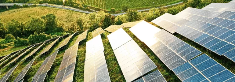 Solar panels in a field, capturing sunlight amid green landscape.
