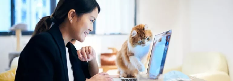Woman working on laptop while a cat playfully paws at the screen.
