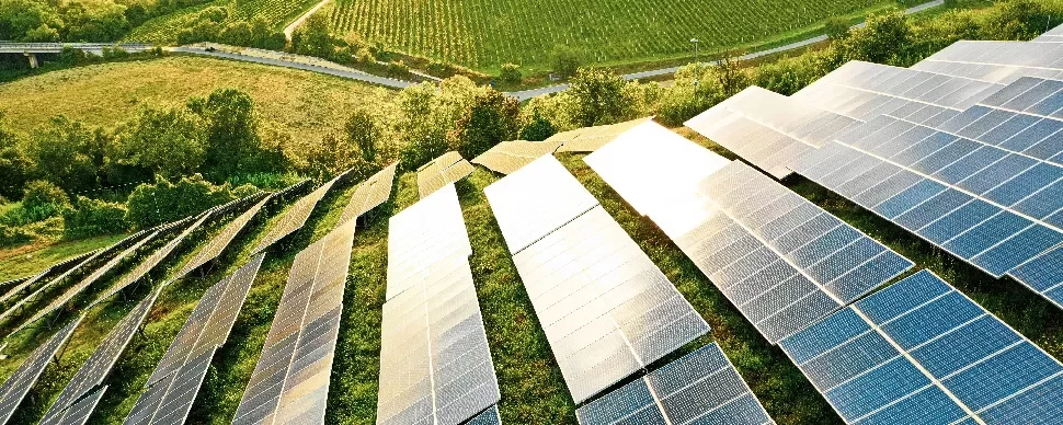 Solar panels in a field, capturing sunlight amid green landscape.