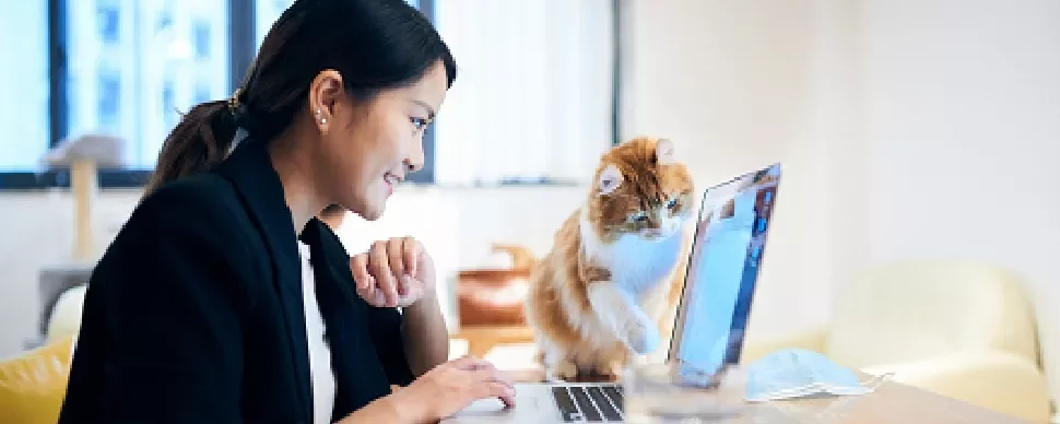 Woman working on laptop while a cat playfully paws at the screen.