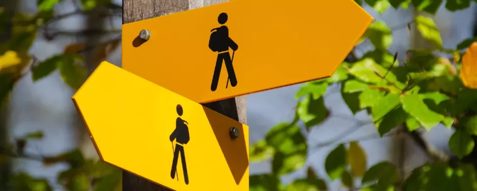 Two yellow hiking trail signs on a post with green leaves in the background.